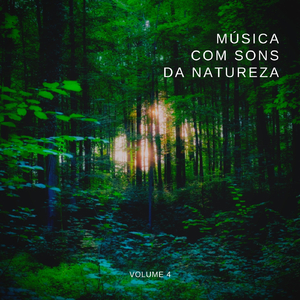 Relaxamento: Águas Translúcidas