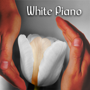 Die Gestirne, D. 444