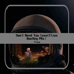 Don't Need You Love (TTzox Bootleg Mix）