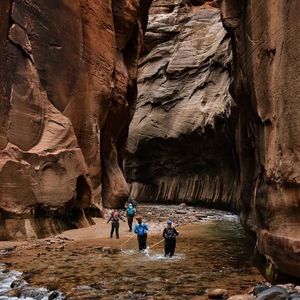 面上有种顾昐自豪