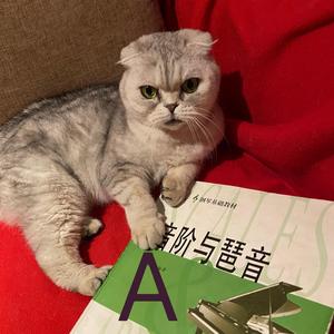 e小调 琶音 第一转位 第二转位 反向