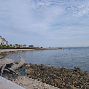 天高任鸟飞-伟 伴奏