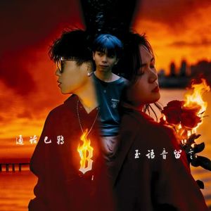 通话已转至语音留言