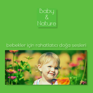 Dolphins Lullaby (Yunusların Ninnisi)