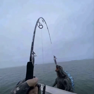 倒着开的门_sq.wav