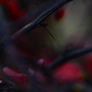 Theta vlny Hudba pro soustředění anc