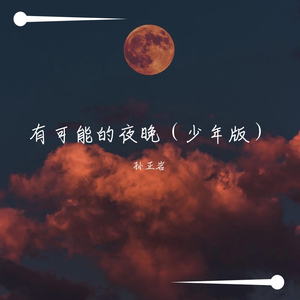 有可能的夜晚（少年版）