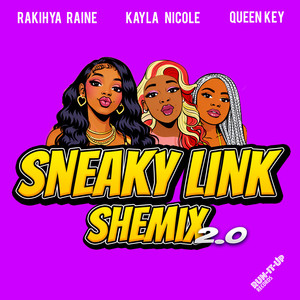Sneaky Link Shemix 2.0