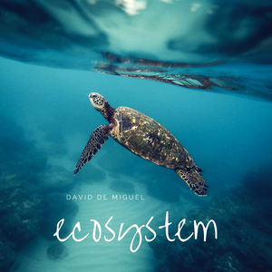 Ecosystem
