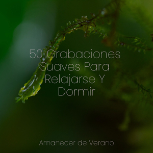 La Canción de la Soledad Etérea