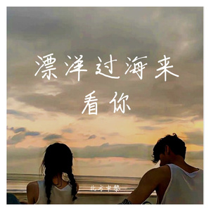 漂洋过海来看你