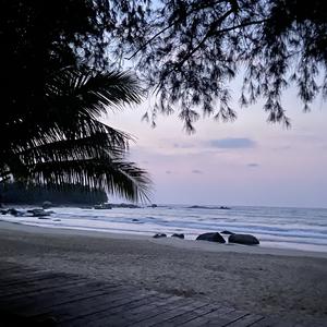 寂寞先生（纯音乐）（翻自 saibo四博）