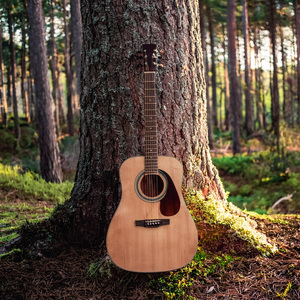 Rasgueos De Armonía