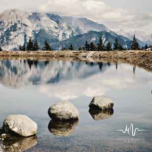 夏林 (清心安神古琴曲)