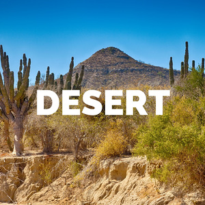 DESERT