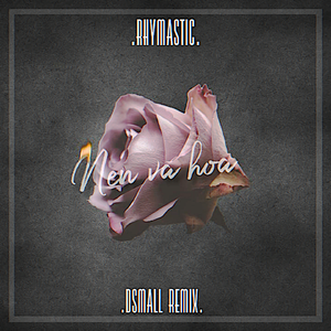 Nến Và Hoa (DSmall Extended Remix)