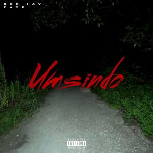 Umsindo (feat. KING17)