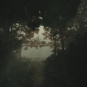 褪黑素DJ版（Xiyang Remix）