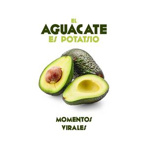 El aguacate es potatsio (Radio Edit)