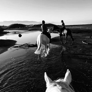 I like to be alone by the sea