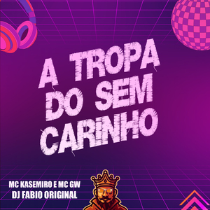 A Tropa do Sem Carinho