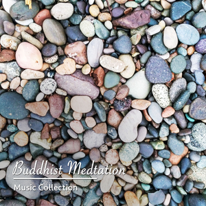 Delta Waves to Break Through Insomnia