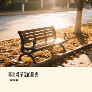 再也看不见的阳光