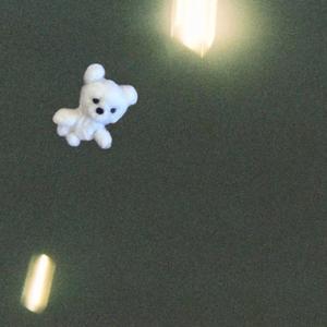 あなたには刺せないわ