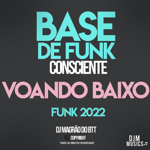 Voando Baixo - Base de Funk Consciente