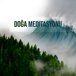Durgun Sesler