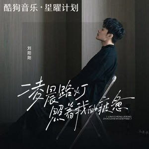 凌晨路灯照着我的疲惫