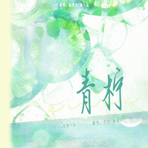 青柠（Cover徐秉龙/桃十五）