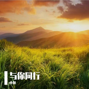 与你同行