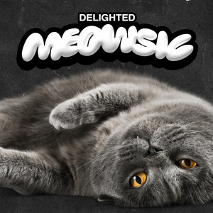 Cattitude