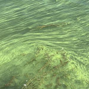 太上老君说常清静经