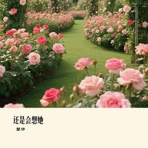 卡农 to me