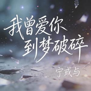 我曾爱你到梦破碎
