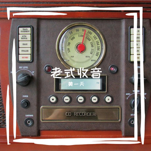 苔藓漫过墓碑的潮湿寂静