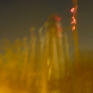 WAH (Instrumental Version)