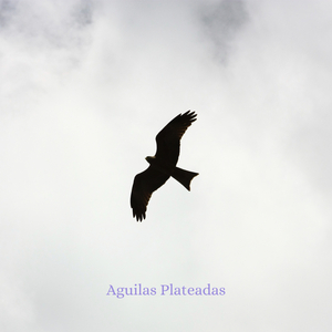 Aguilas plateadas