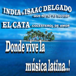 Colesterol de Amor (Dirk Diggler Rmx-Club)