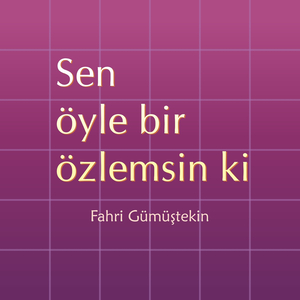 Sen Öyle Bir Özlemsin Ki