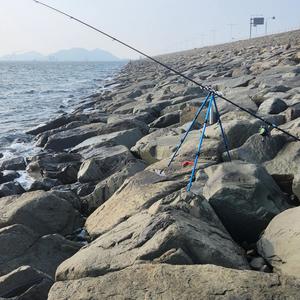 낚시줄은 고기와 교감