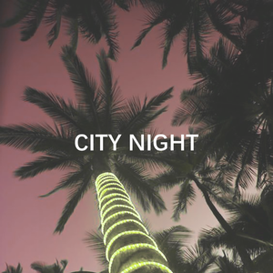 CITY NIGHT