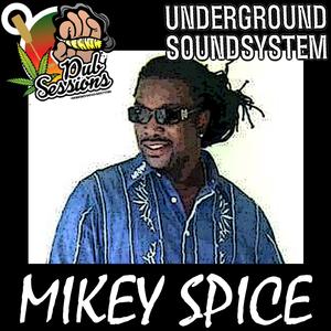 Grab You Box And Run (You Don't Care Riddim) (feat. Mikey Spice) (Dubplate)