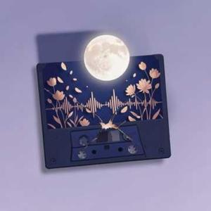 Making Silence Bloom