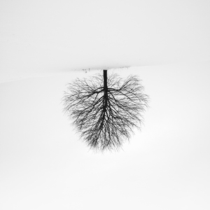 You Can Never Tell (Old Mix)