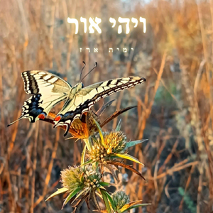 ויהי אור