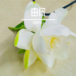 当我向月亮倾吐爱意