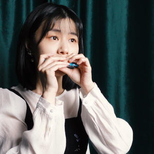 你的样子（口琴园园）